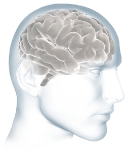 omega3 mózg